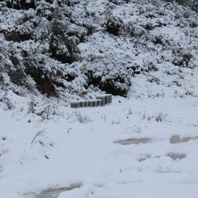 Hivernada Apicultura 3